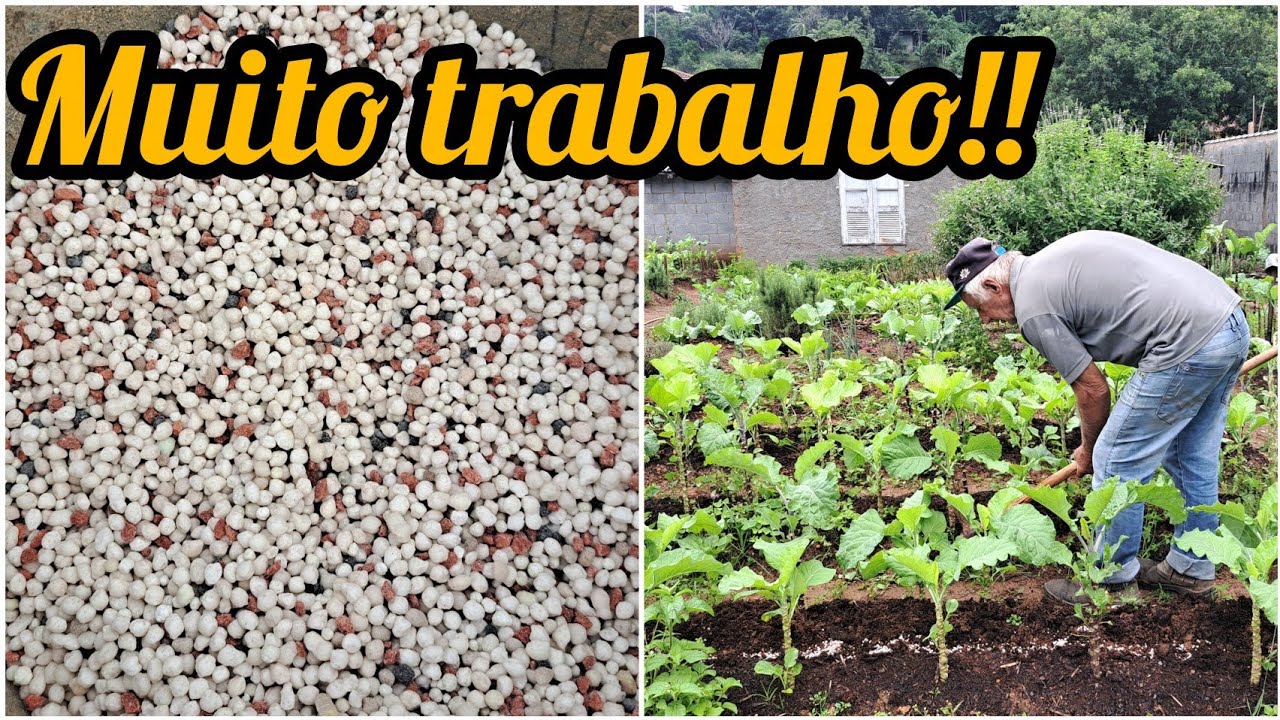 MUITO TRABALHO PARA UM BOM DESENVOLVIMENTO!/FIZEMOS A ADUBAÇÃO NA COUVE E TEMPEROS