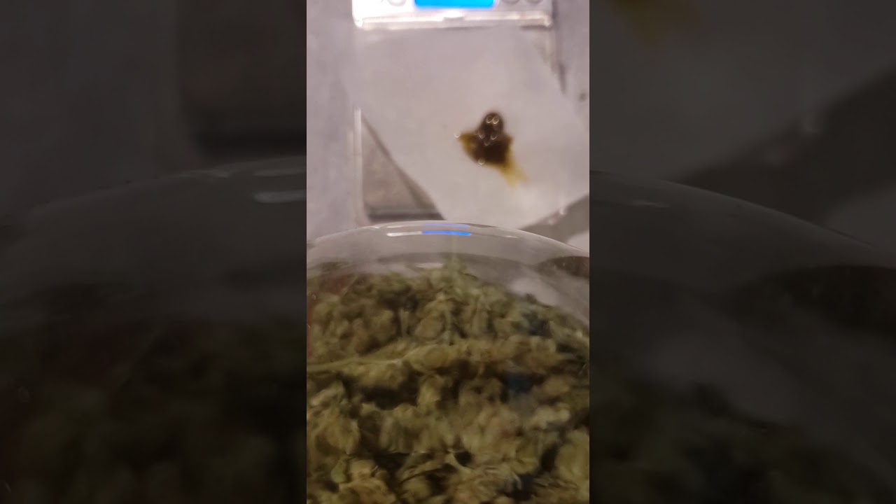 final weight on 14 grams of flower!