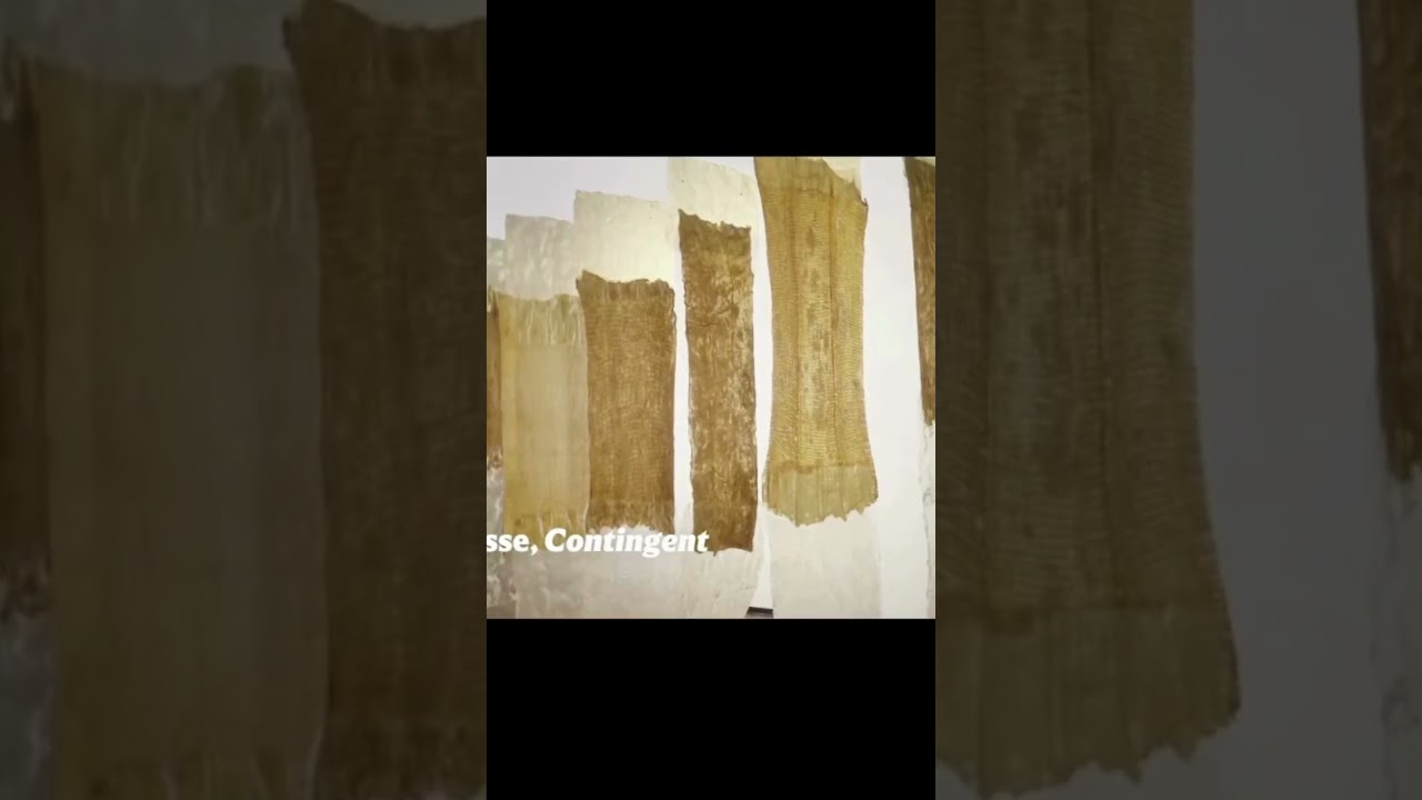 La escultura contra la permanencia. Eva Hesse - El vértigo del borde | Whimsy POV Ep. 7