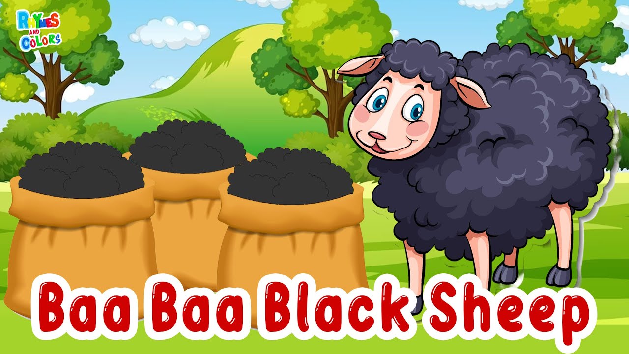 baa baa black sheep have you any wool #baabaablacksheep
