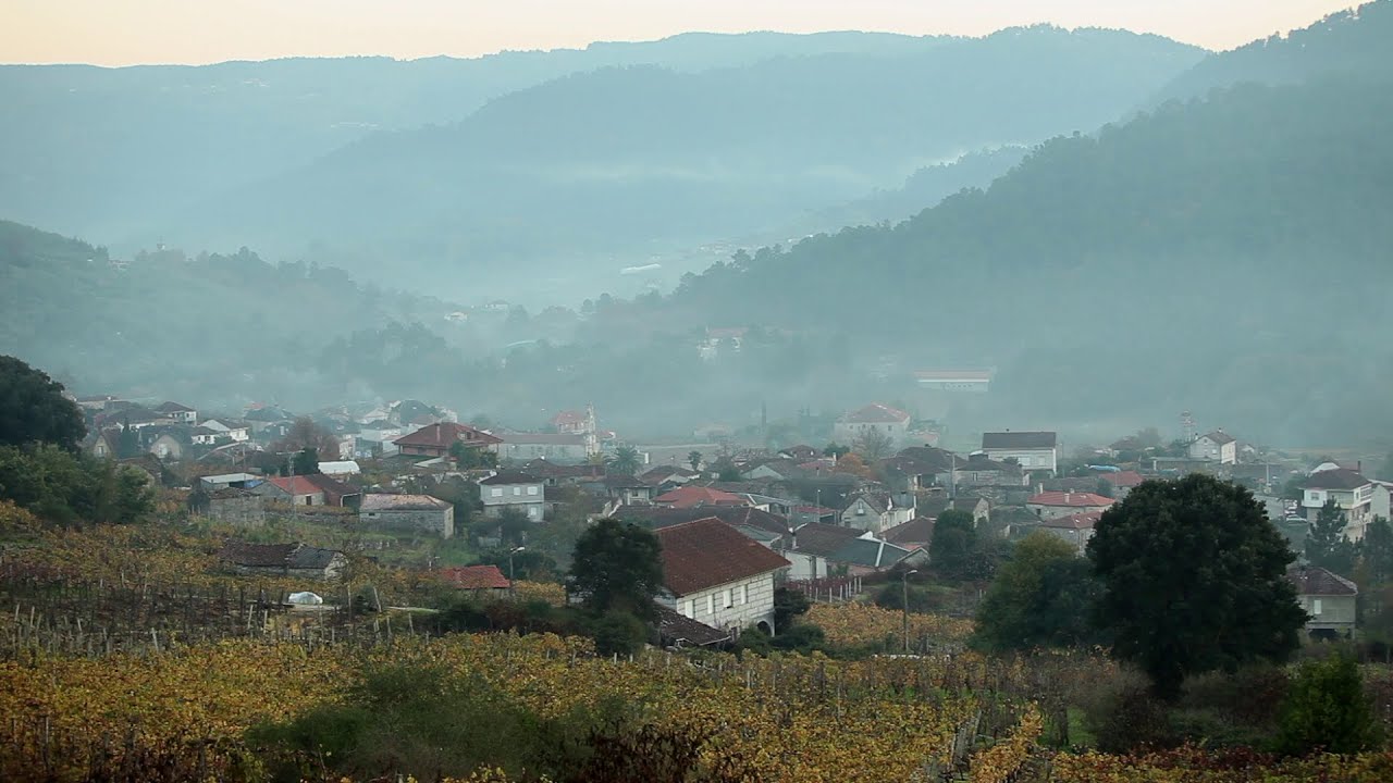 Documental En Vino Veritas: Galicia, del terroir al Vino Natural