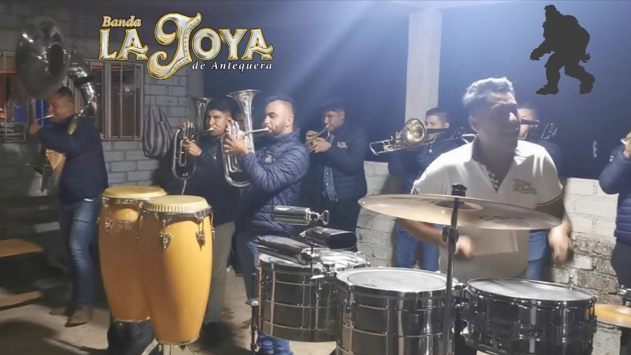 SON DE LA BESTIA / BANDA LA JOYA DE ANTEQUERA / ALOTEPEC MIXE MAYO 2020