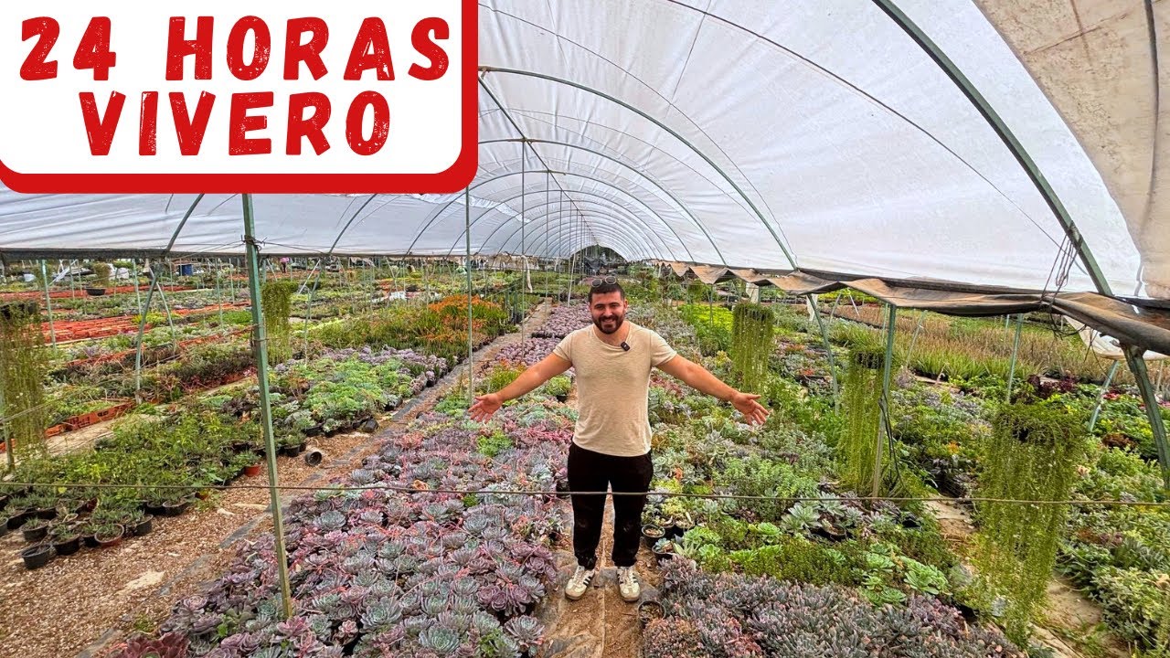 24 HORAS en un VIVERO de SUCULENTAS