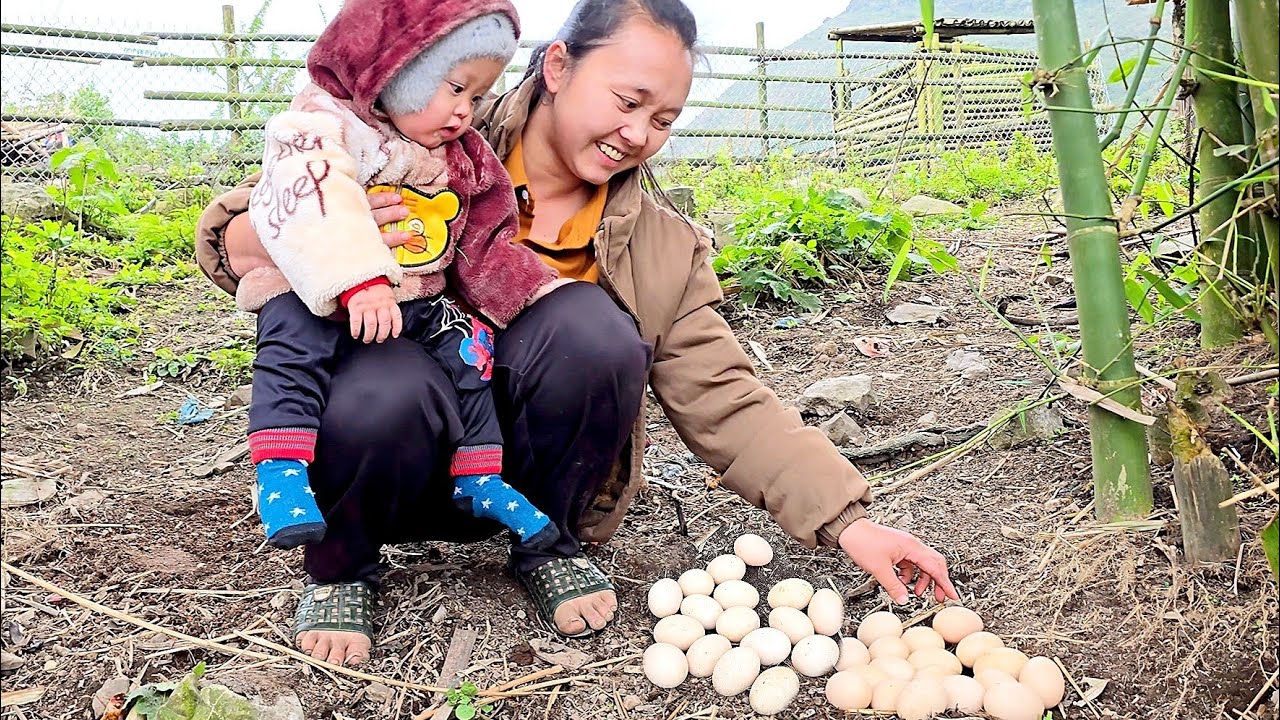 “A Single Mother and Her Son Unexpectedly Find a Nest Full of Eggs in the Garden - Ly Tu Nhi 
