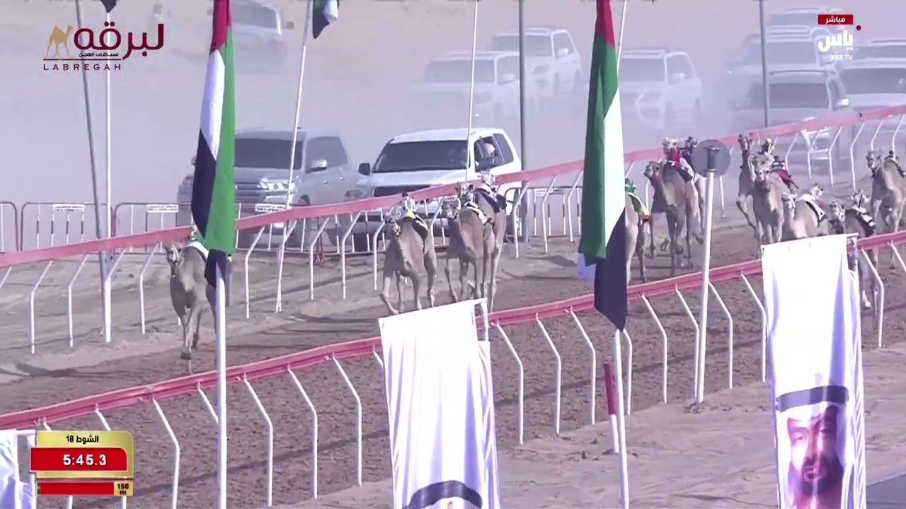 ش18 شاهين لـ علي ناصر سلطان السيفي (مهرجان سمو الشيخ محمد بن زايد 26-12-2024ص) حقايق قعدان 6:01:42
