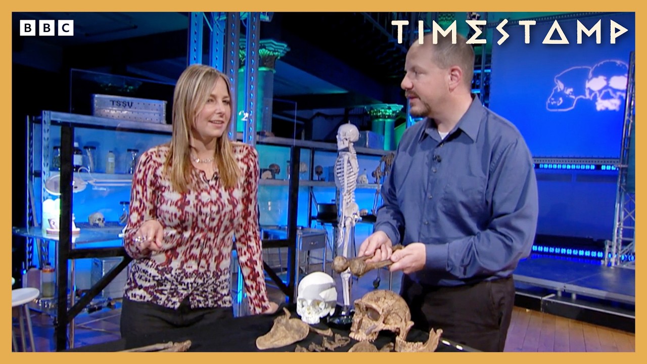 What is the Secret Behind How Neanderthals Got their Super Strength? | BBC Timestamp