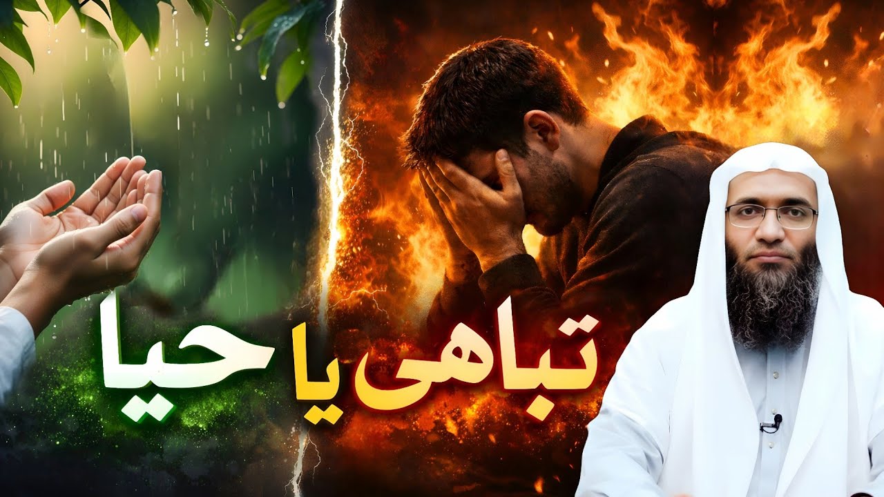 ​حیا میرا ایمان: پاکدامنی کی وہ کہانیاں جو دل کو چھو جائیں گی!