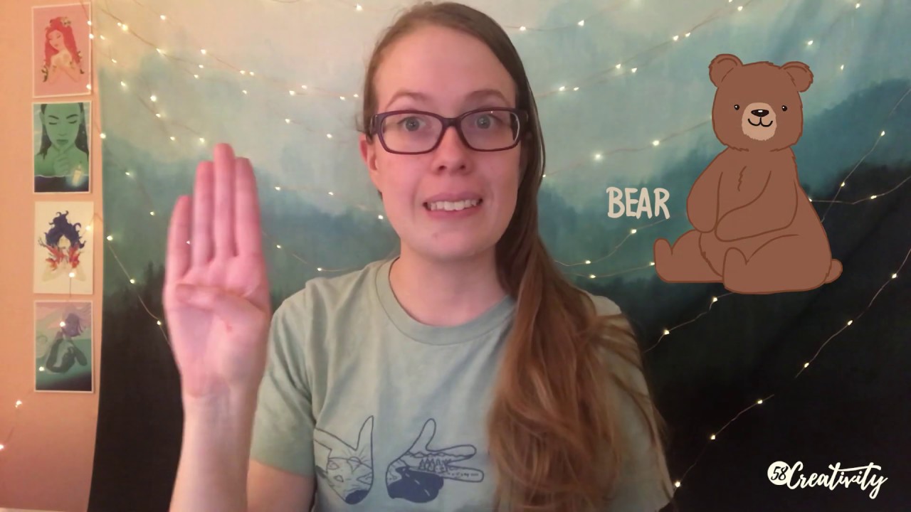 Learn ABC’s, 1-20 and animal signs in American Sign Language