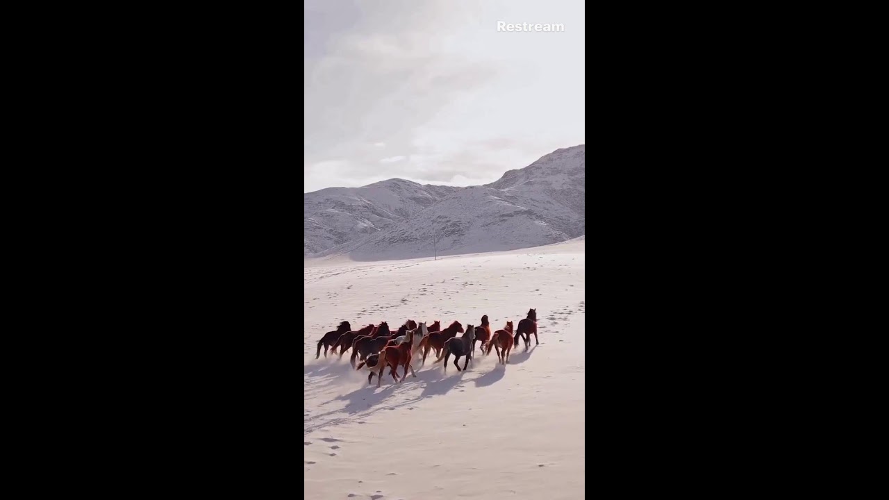 THE BEAUTY OF NATURE