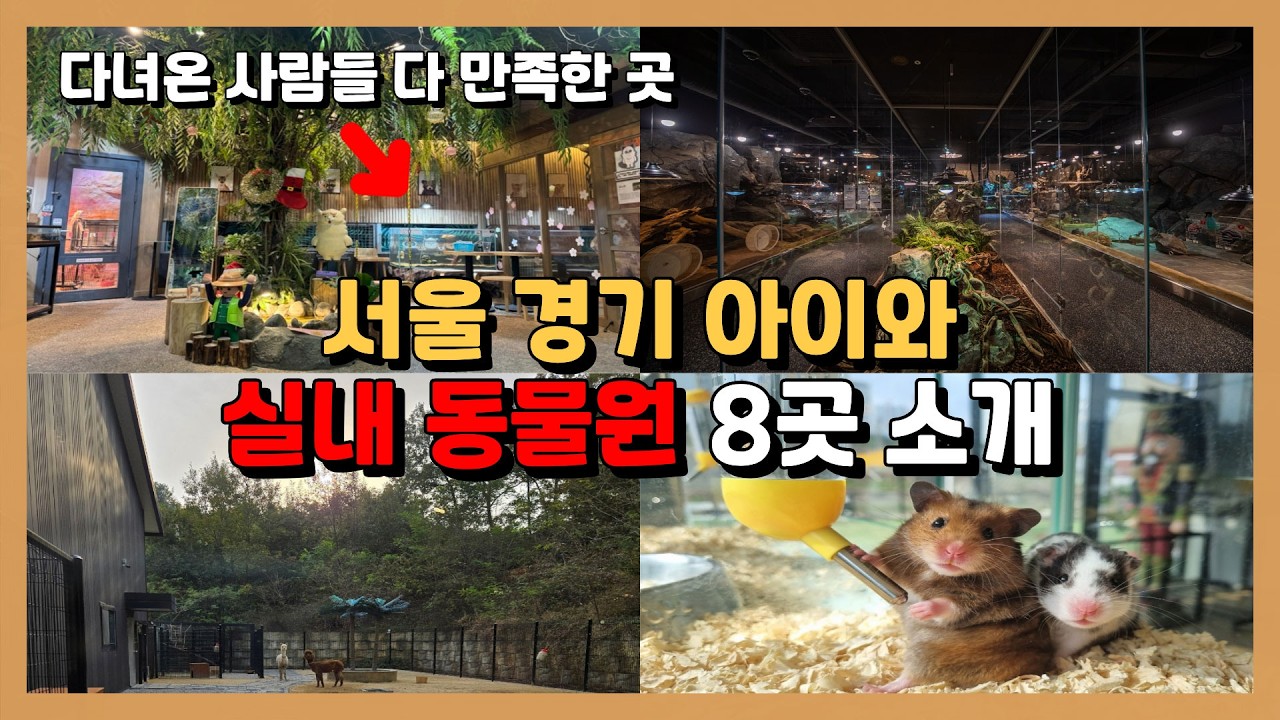 🟤서울 경기도 수도권 아이들과 방학에 갈 실내 동물원 Top 8 / 발자국지도