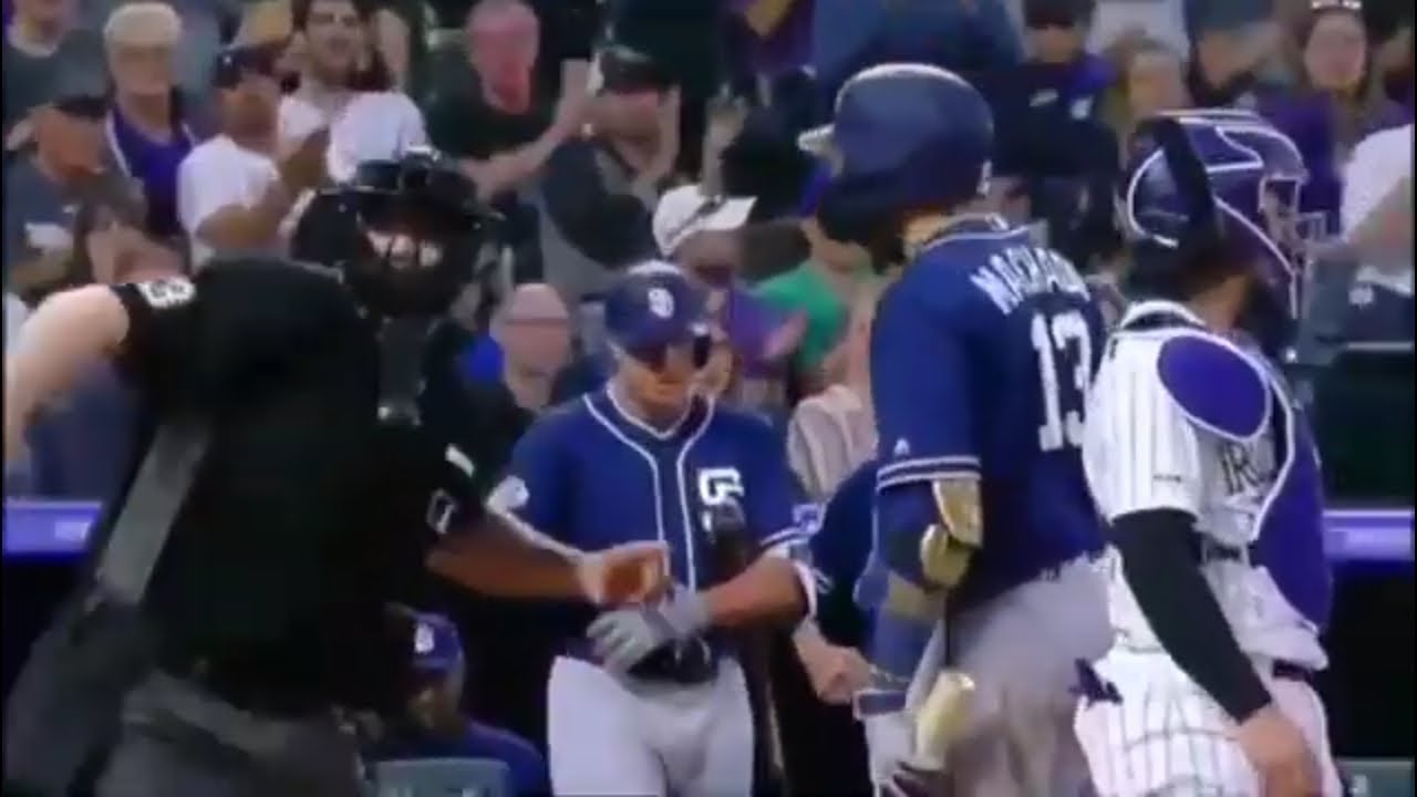 MLB Fights & Ejections 2019