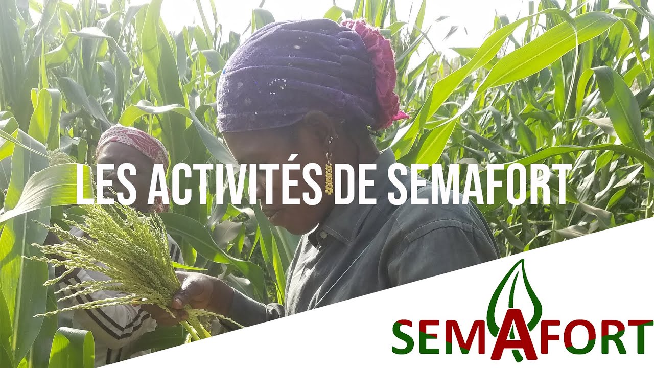 Film : les activités de SEMAFORT