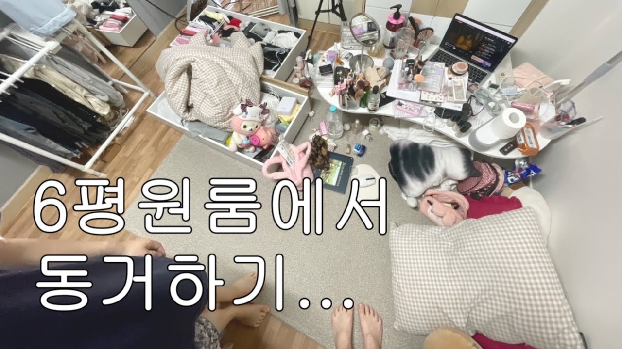 6평 원룸에 둘이 살아요👭공간활용 인테리어, 아기자기한 방 꾸미기, 동거 브이로그 VLOG