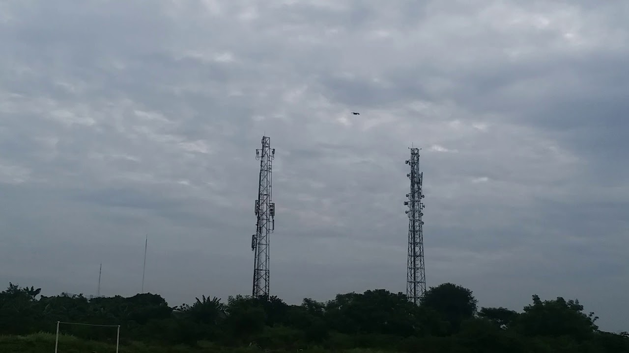 CHEKY SEVERE MACAW FREE FLY
