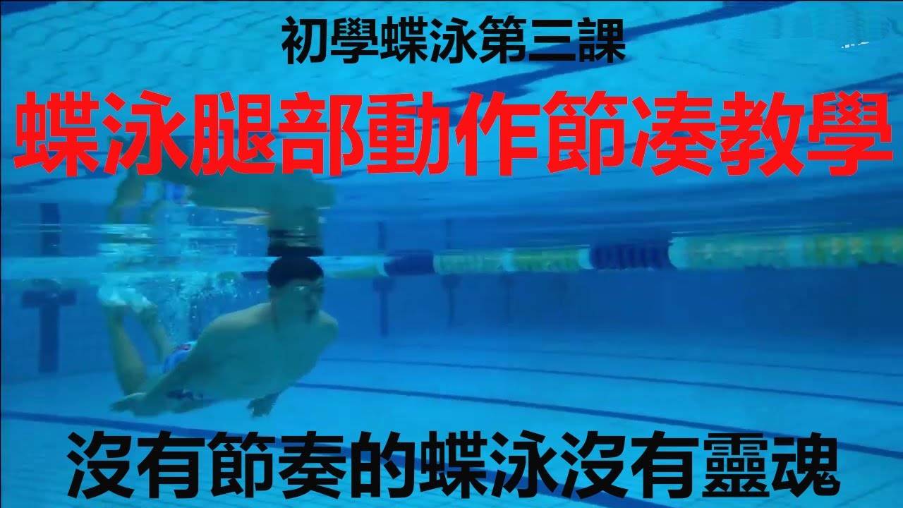 初学蝶泳第三课，蝶泳腿部动作教学！蝶泳腿节奏练习，没有节奏的蝶泳没有灵魂