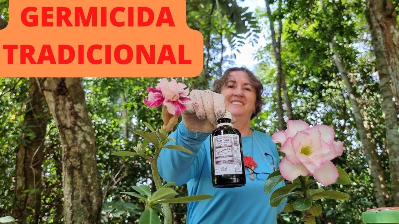 Aprenda a tratar a nova praga das Rosas do Deserto: Combata os Nematoides