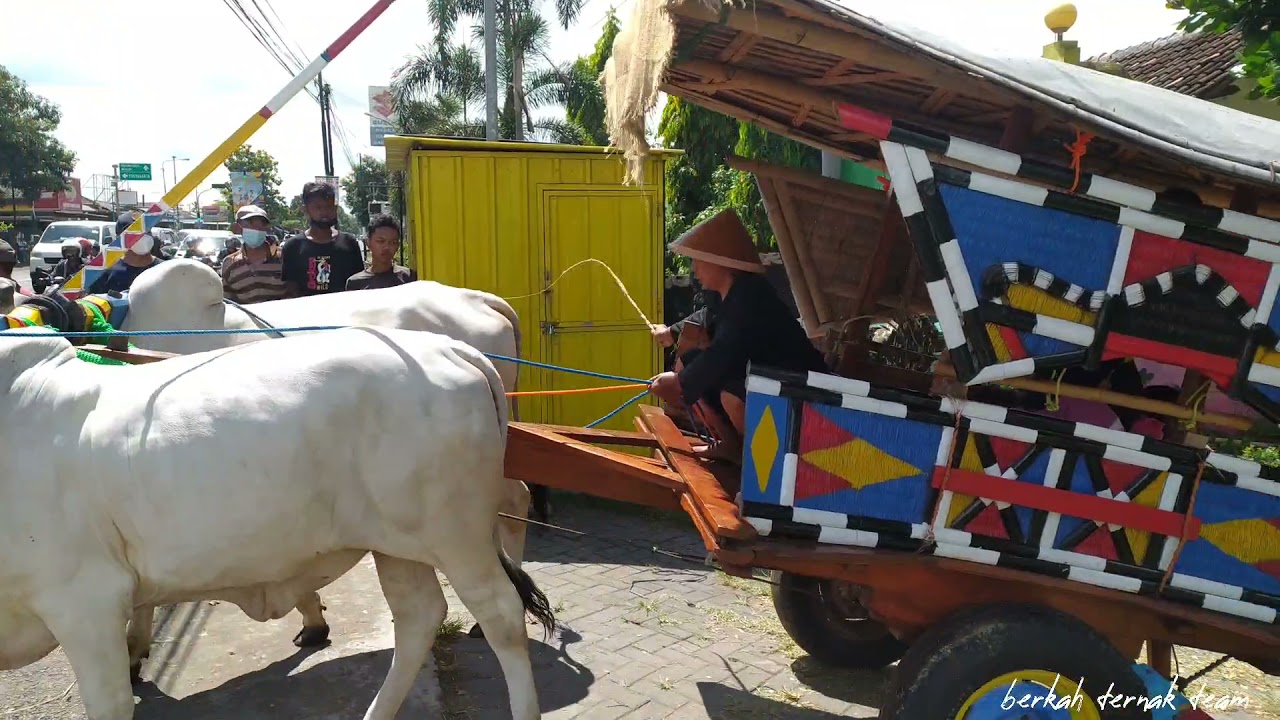 KOPDAR GEROBAK SAPI BANTUL, MINGGU PON