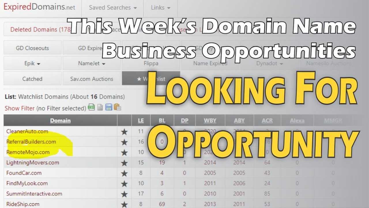 This Week's Domain Name Business Opportunities - Feb 22 - Domain To Profit