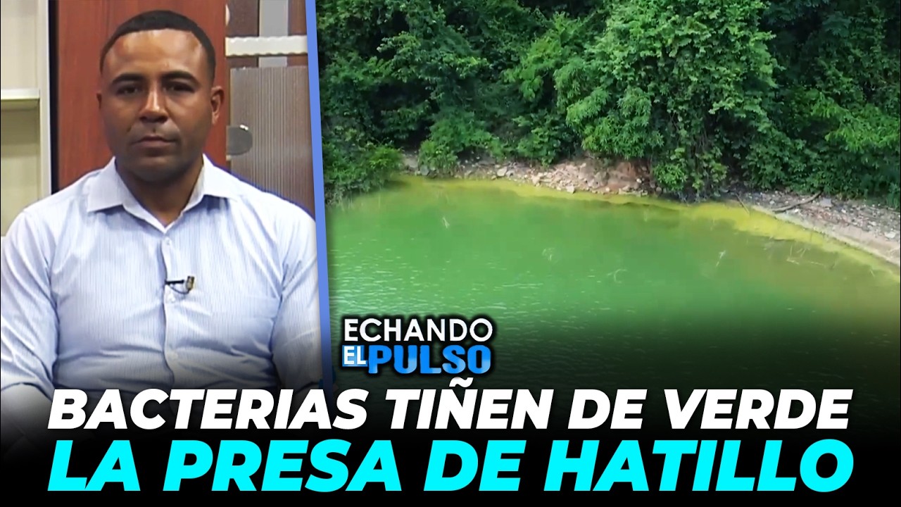 La Presa de Hatillo se teñida de verde por grave contaminación de bacterias | Echando El Pulso