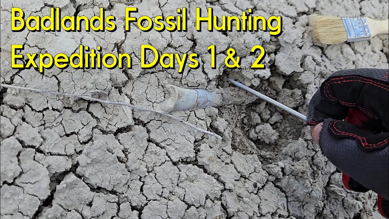 Fossil Hunting The White River Badlands Days 1 & 2 #thefinders  #badlands #nebraska #fossils