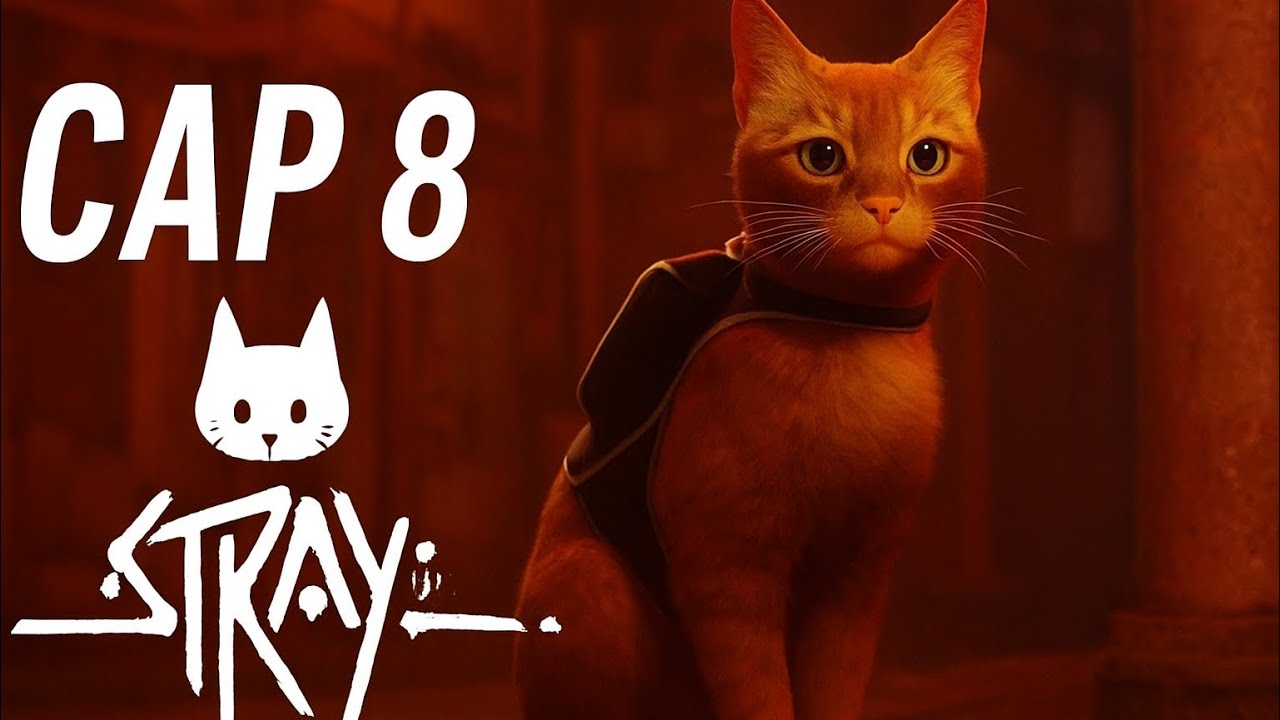 ENCONTRAMOS AL PADRE | STARY CAP 8 | Liaaaa thk 