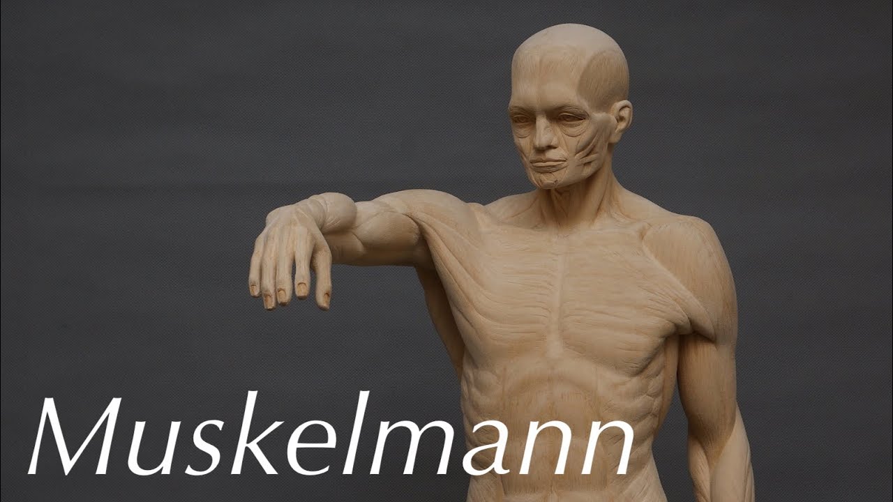 Muskelmann / eine anatomische Figur schnitzen