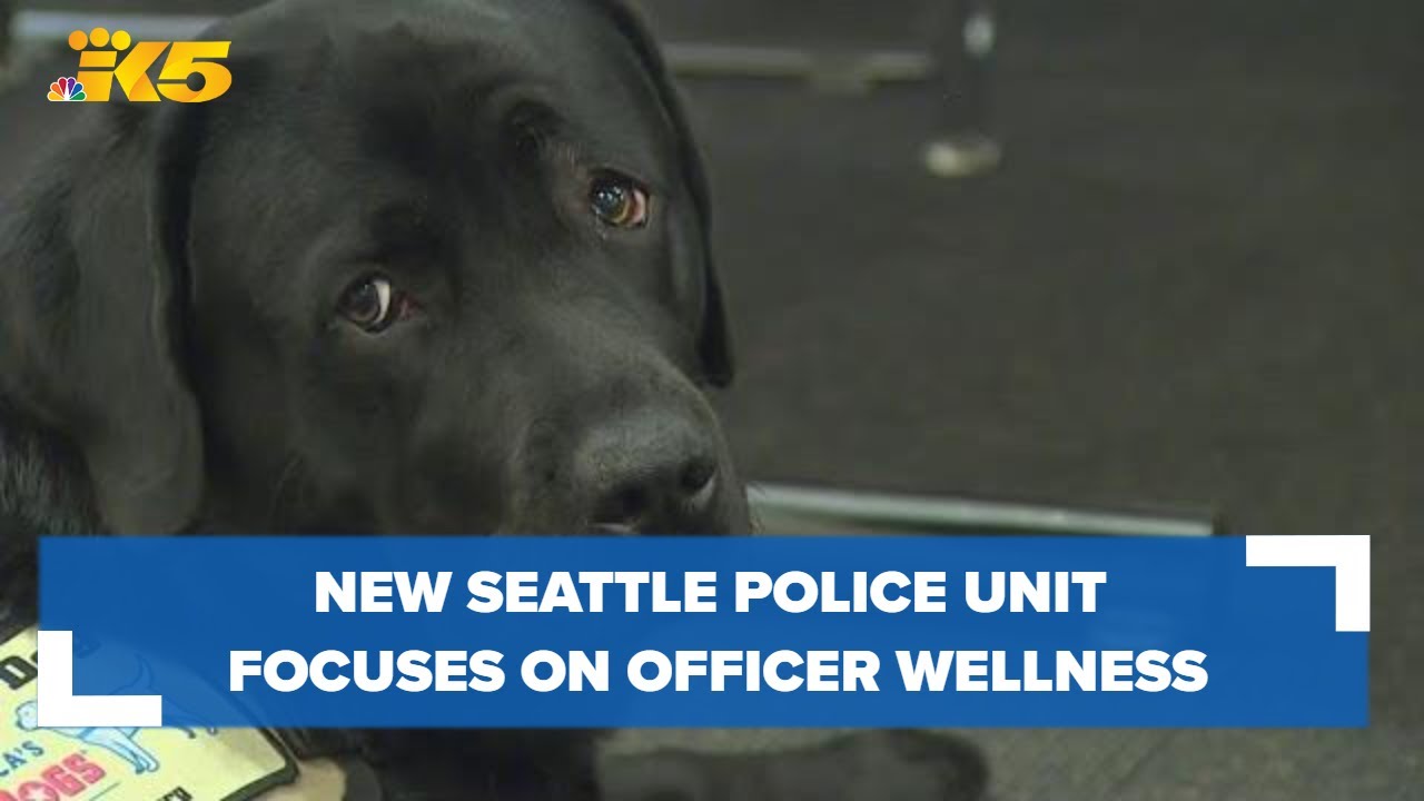 New Seattle police unit focuses on officer wellness