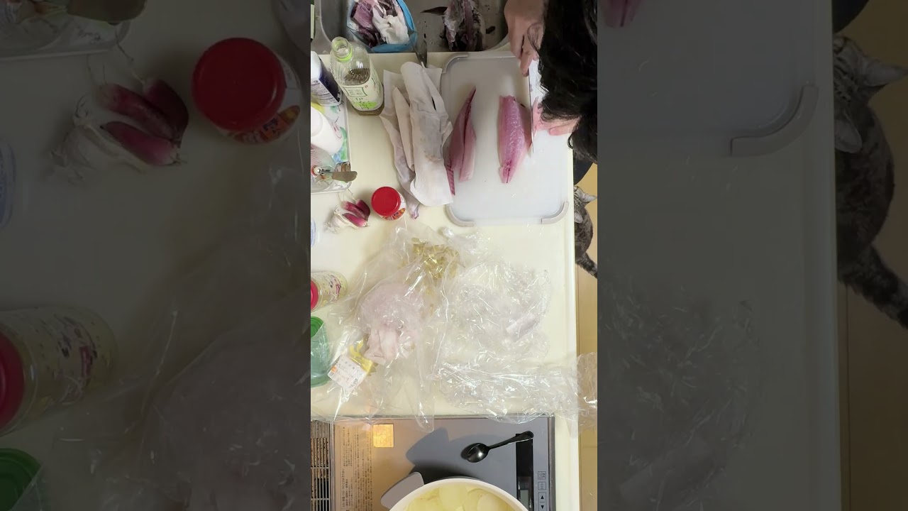 素人がクロダイ（チヌ）とアジの湯引きと刺身作ってみた