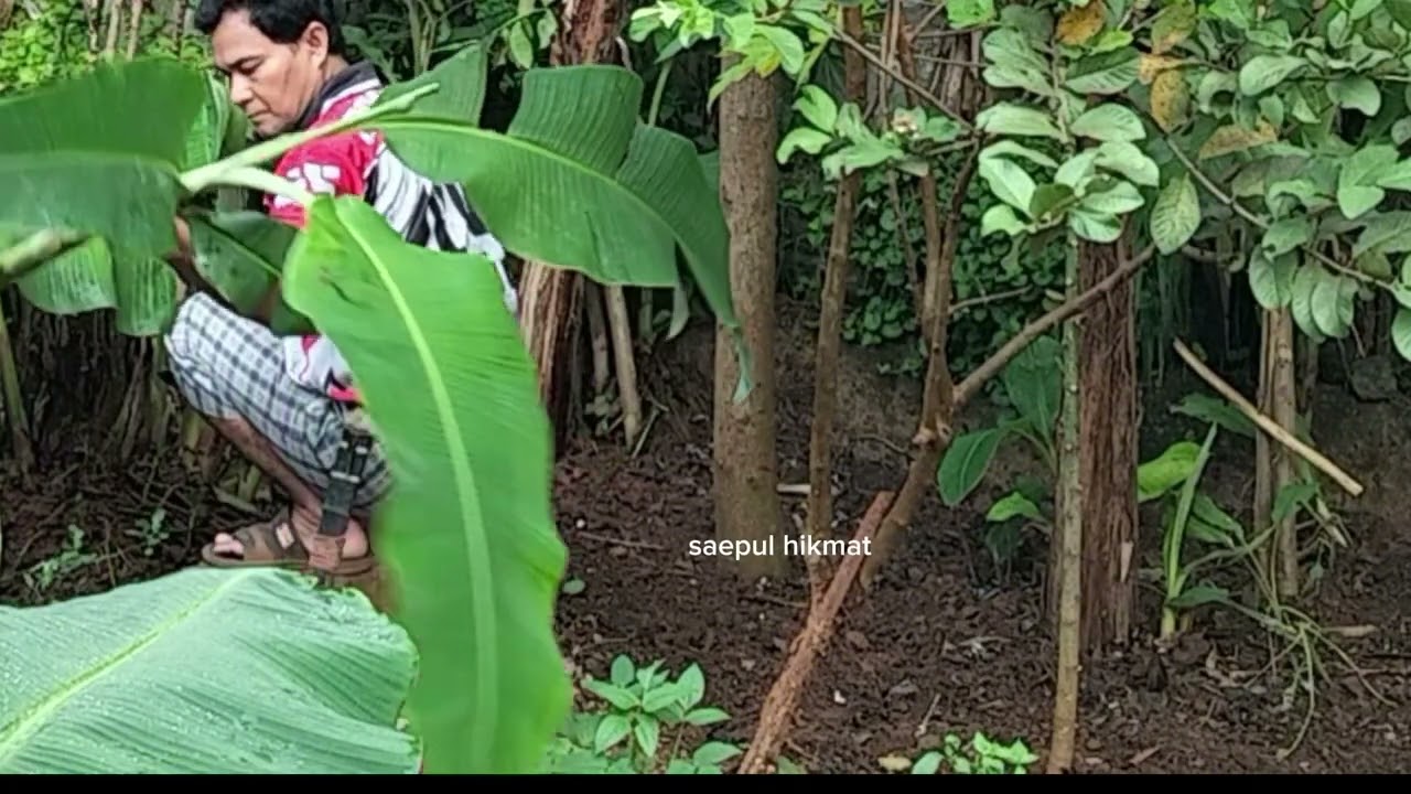 Suasana aktivitas pagi betah pisan .