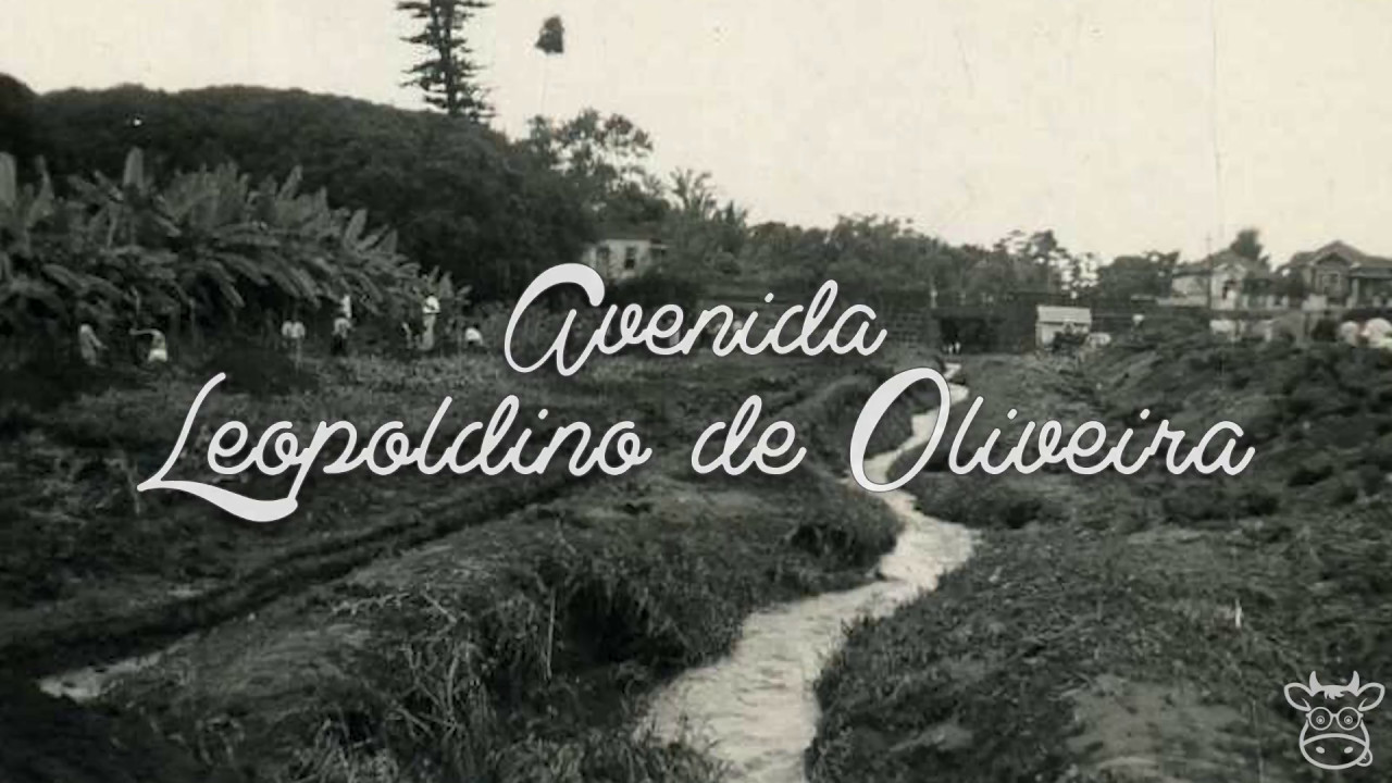 Avenida Leopoldino de Oliveira - Hist&oacute;ria (Uberaba)