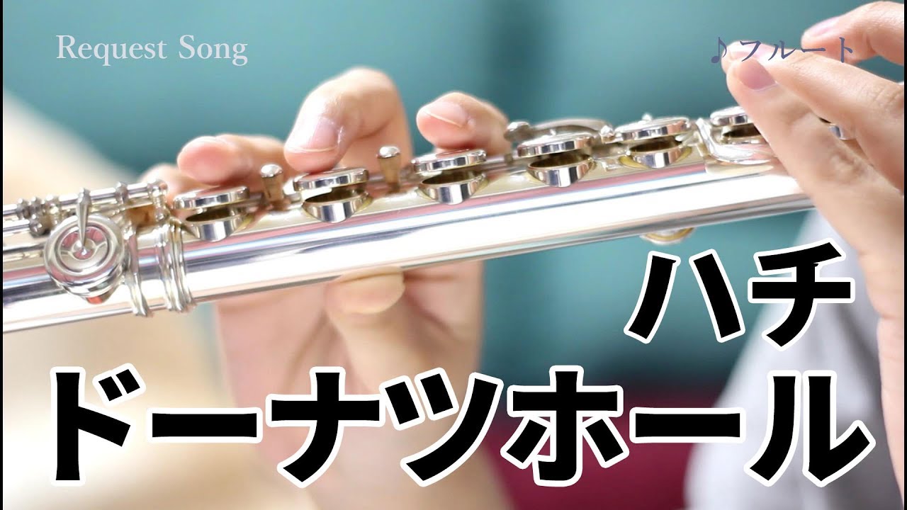 【フルート】ドーナツホール/ハチ【ボカロ演奏してみた】