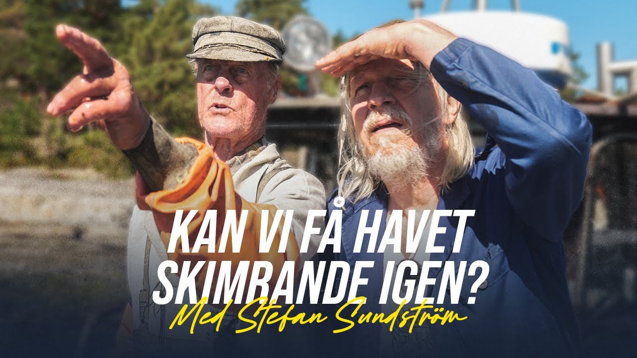 Hur mycket strömming finns det kvar?