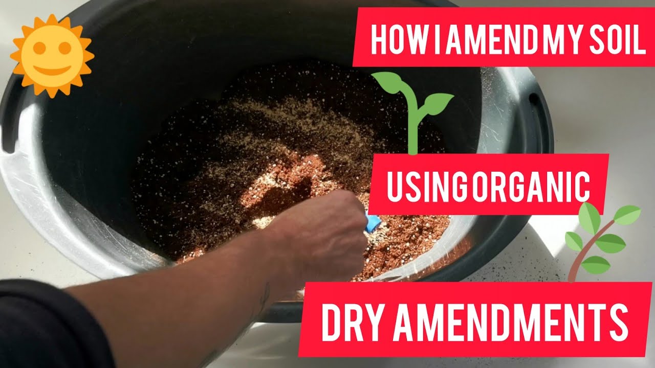 How i amend my soil using organic dry amendments.