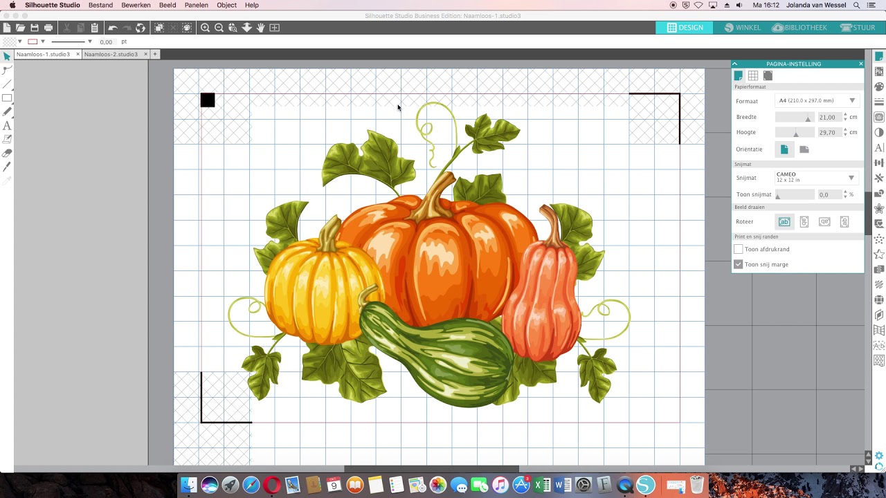 Printen en snijden in Silhouette Studio versie V4.1