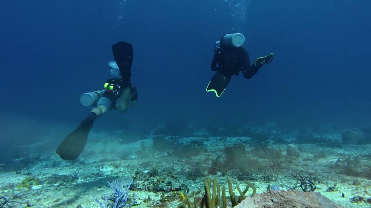 Cozumel Dive 2