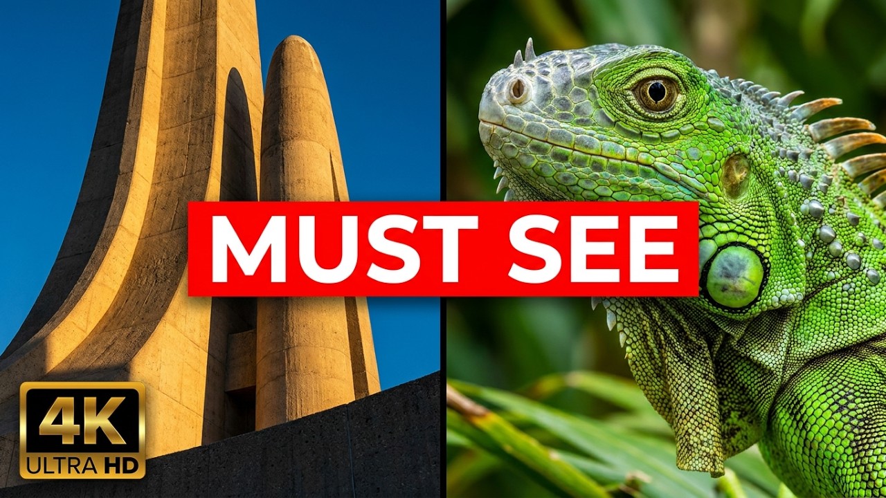 South Africa's Most Scenic Drive in 4K | Cultural Landmarks to Wildlife Adventures