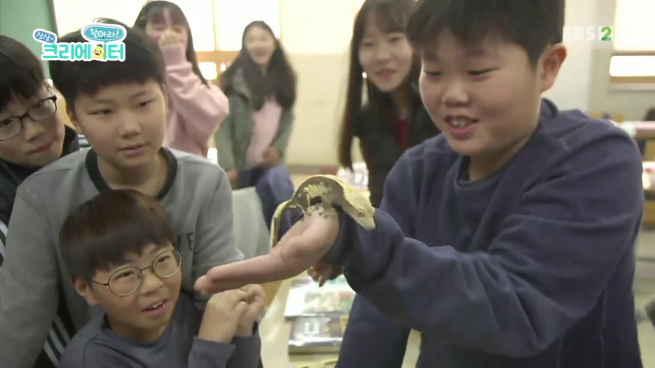 찾아라! 상상 크리에이터- 파충류 소년, 윤주환