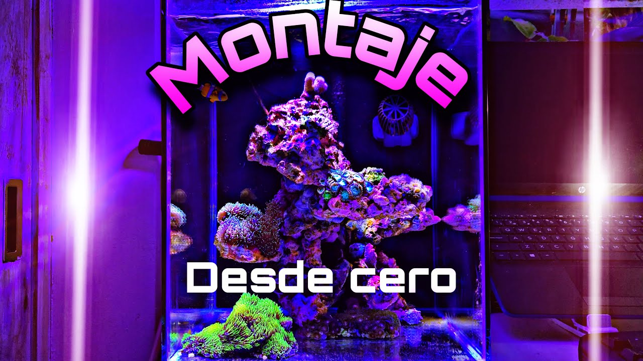 ACUARIO NANO MARINO de 30 litros, SIN SUSTRATO, TOTALMENTE REMODELADO en colaboración con AQUAFOREST