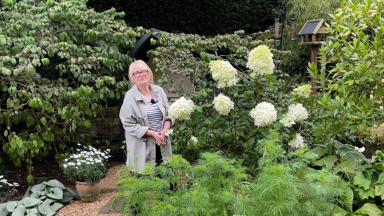 Planting Perennials for Autumn Colour | Starting a new shade border