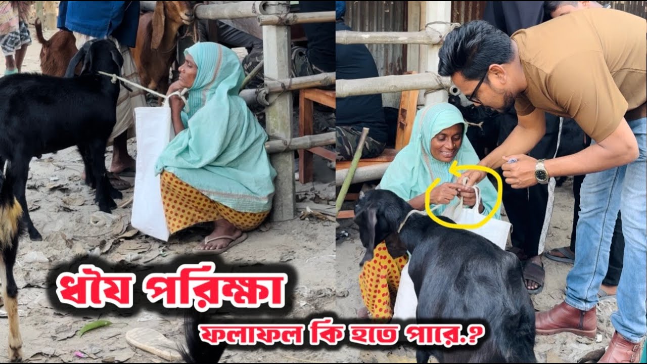 ছাগল দিয়ে ধযৈ এবং সততা পরিক্ষা করলাম