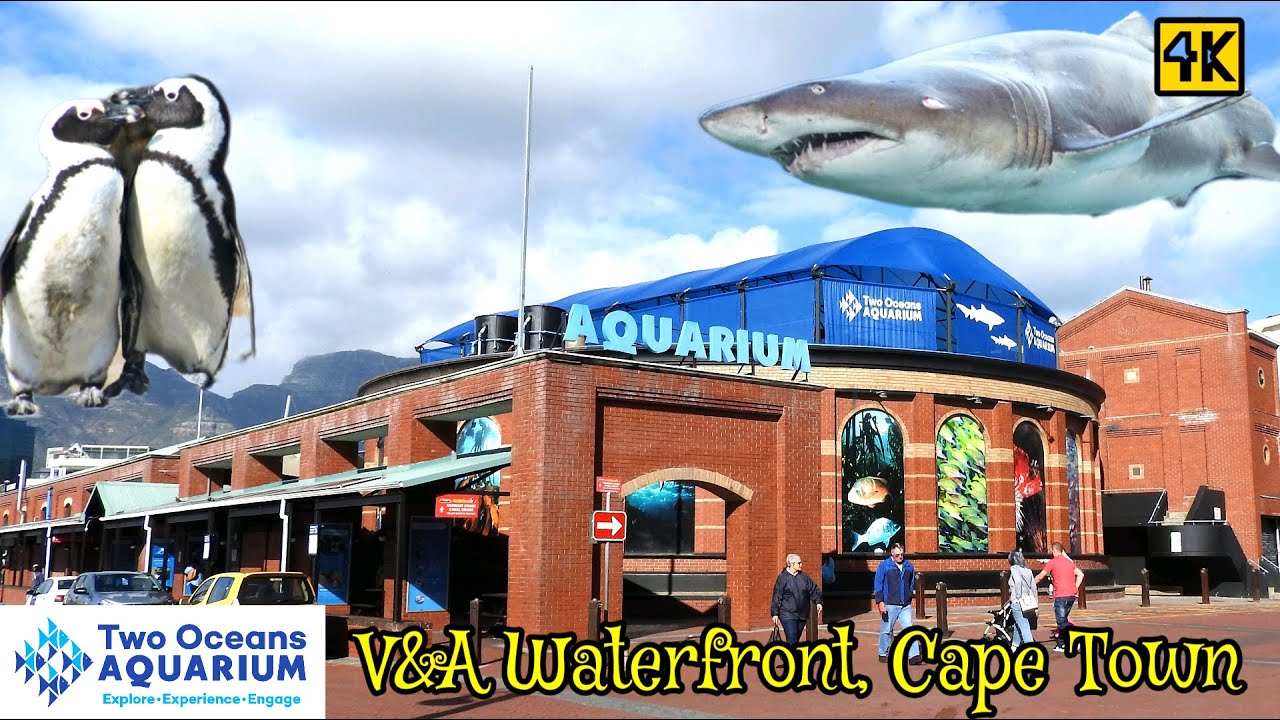 Two Ocean Aquarium 4K - Sea Animals for Relaxation | V&A Waterfront | Cape Town (4K Video Ultra HD)