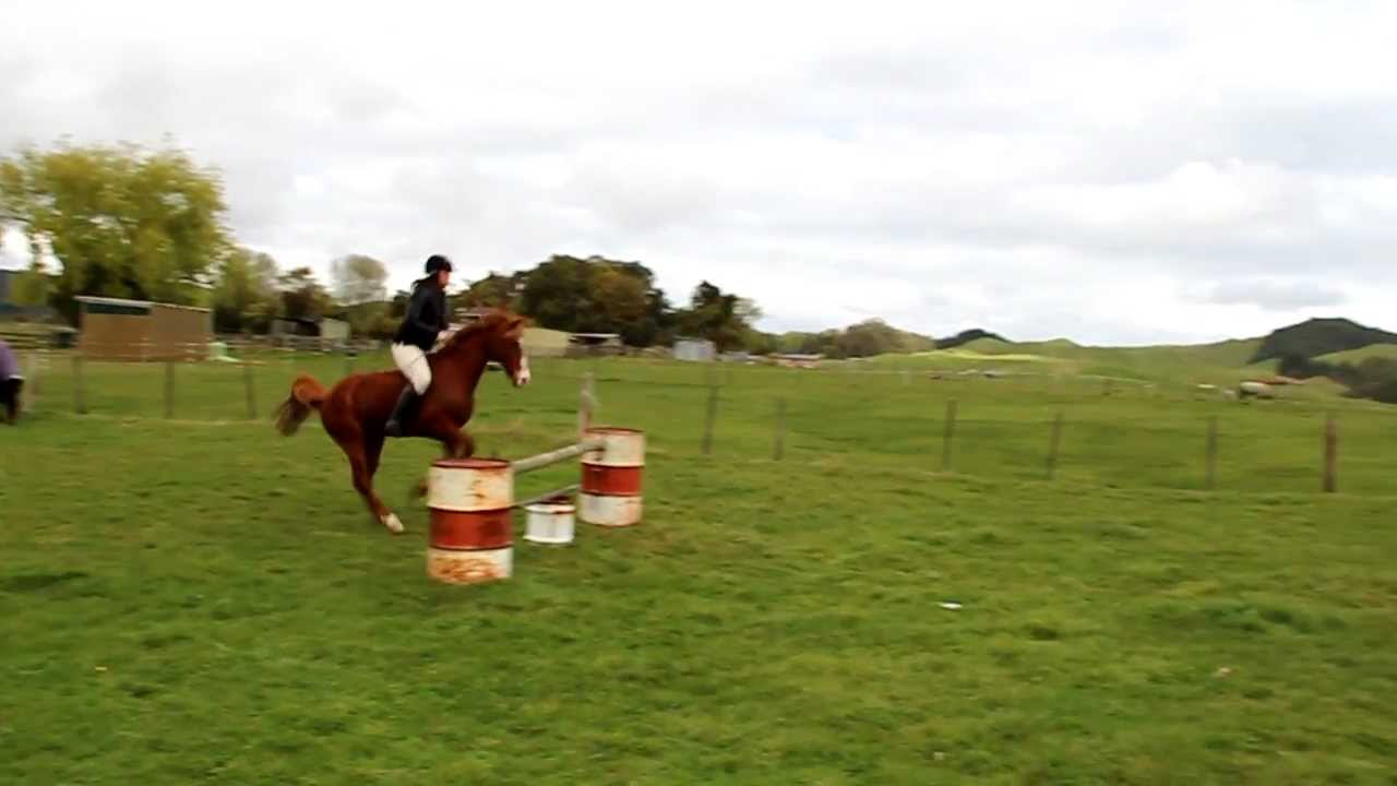 Jumping big bareback and bridleless!!!