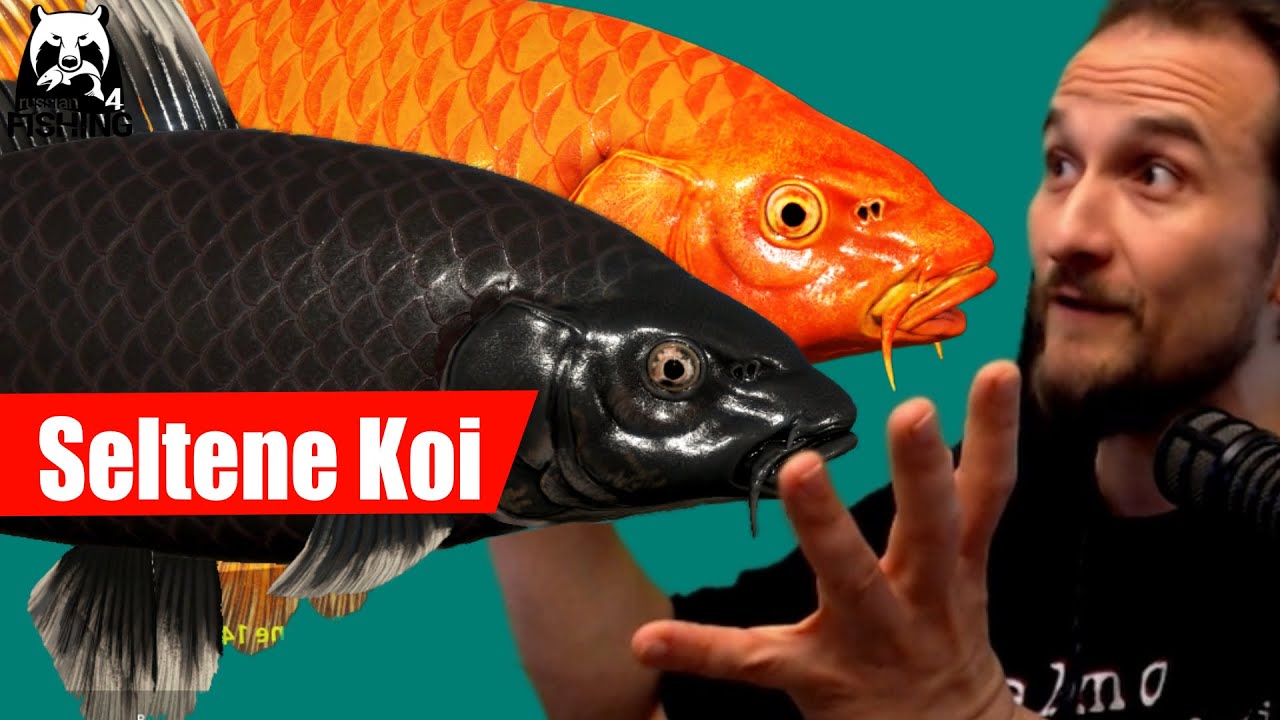 Russian Fishing 4 - Kupfersee - Koi Spot! Selten und Sehr Seltene Koi, Ganz einfach