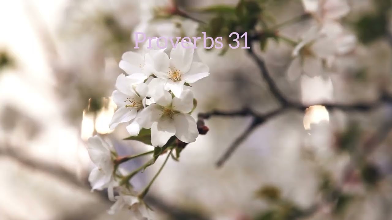 Proverbs 31
