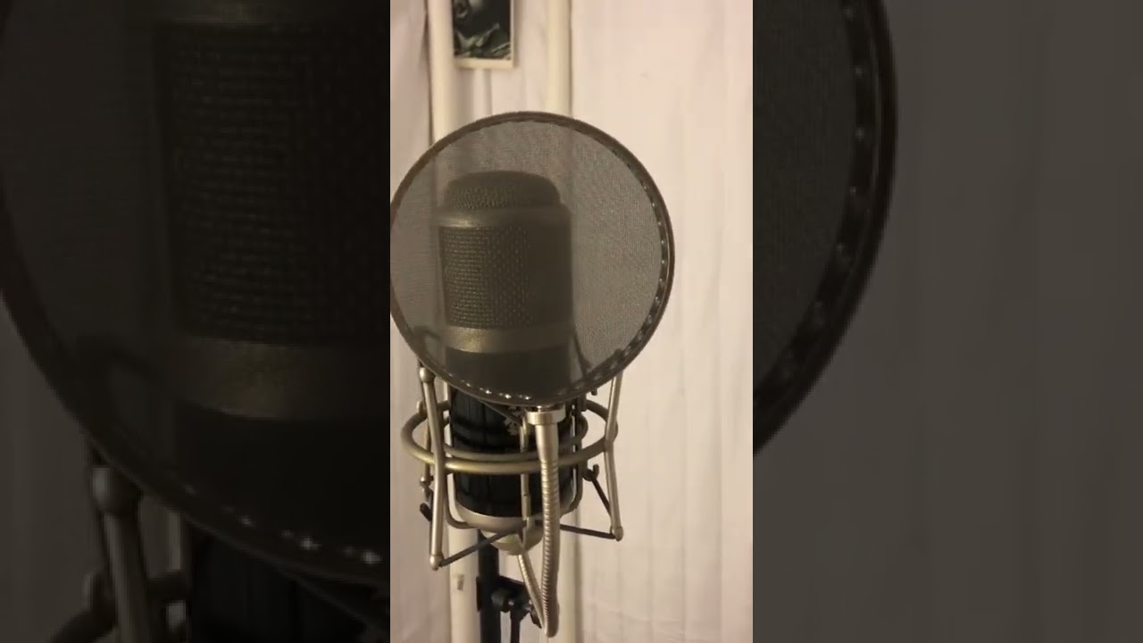 Pauly Ton pop filter just arrived
