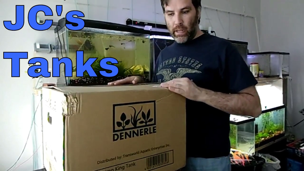 I won a Shrimp King Tank!