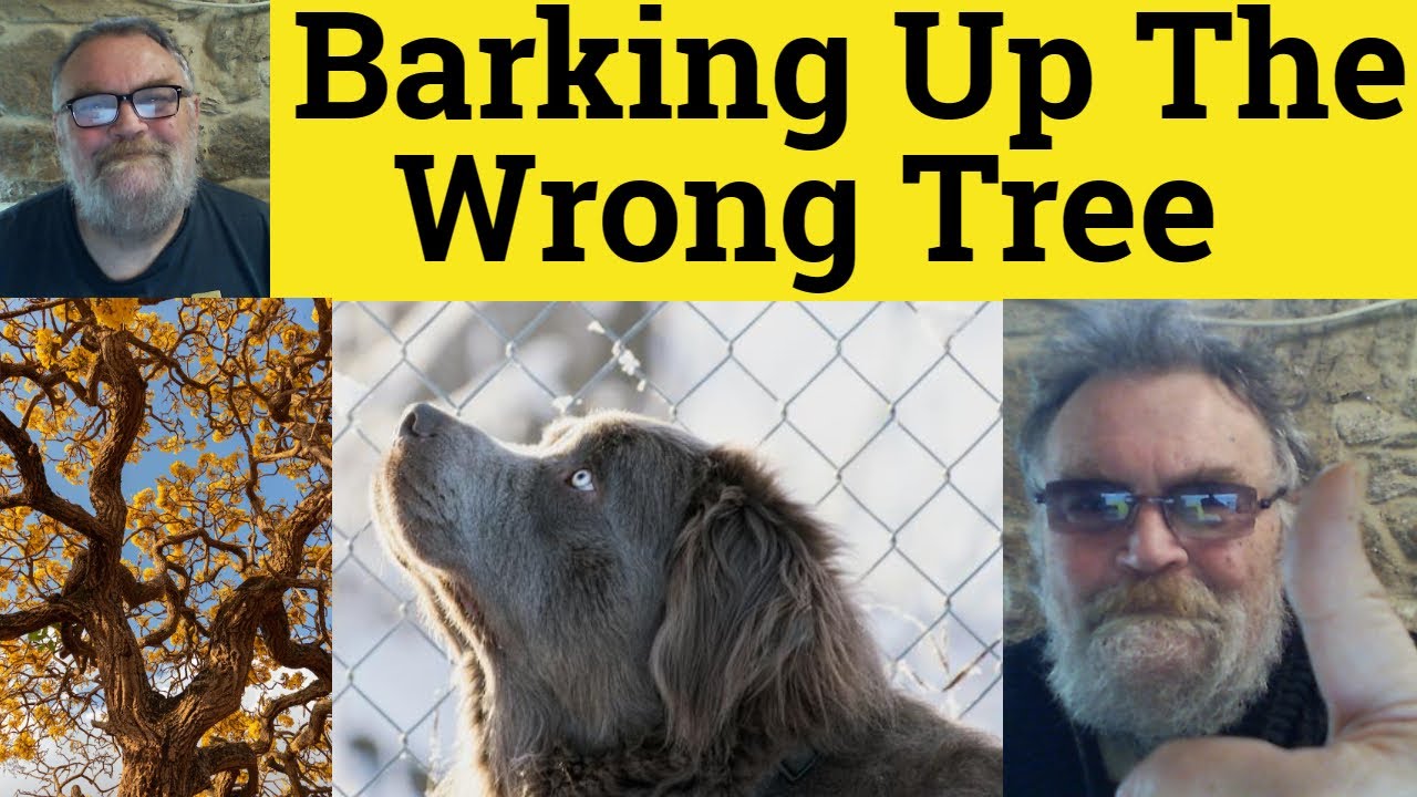 🔵 Barking Up the Wrong Tree Meaning - Bark Up the Wrong Tree Definition - Barking Up the Wrong Tree
