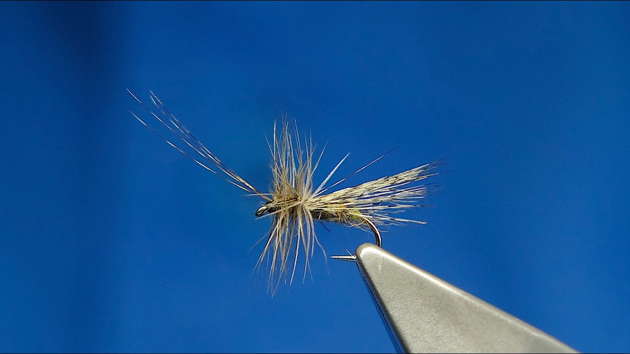 Tying a Coq de Leon Grannom Caddis Fly with Davie McPhail