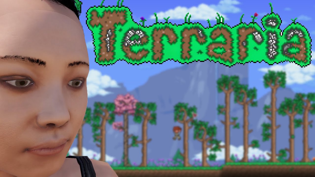 i played terraria...