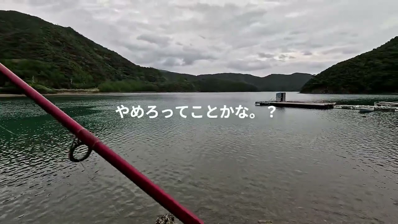 奄美　4年ぐらい前に配信したサルのコシカケあるかな。